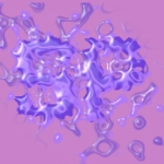Уникальный онлайн инструмент для PNG надписей с разнообразными эффектами