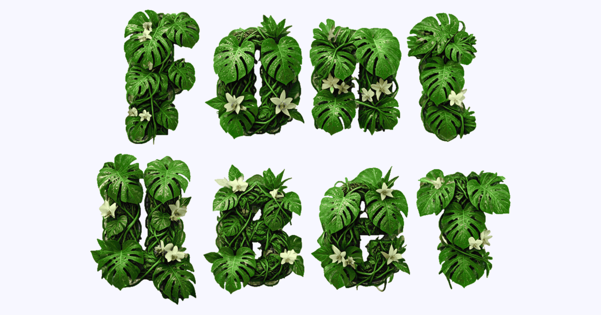 Tropic Monstera Font